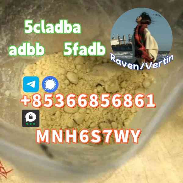 5cladba precursor adbb powder 5fadb raw material supply picture
